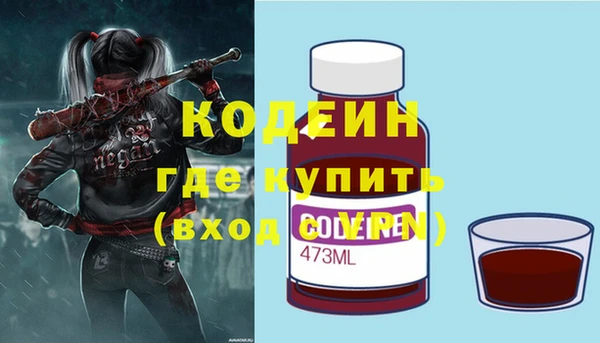 стаф Каменногорск