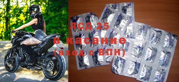 стаф Каменногорск