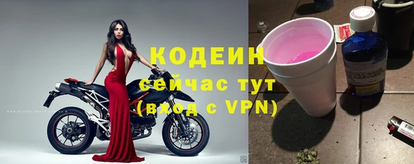 стаф Каменногорск