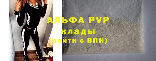 стаф Каменногорск