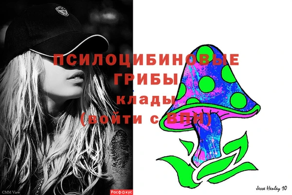 a pvp Каменск-Шахтинский