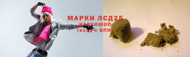 стаф Каменногорск