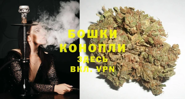 стаф Каменногорск
