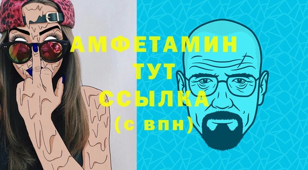 стаф Каменногорск