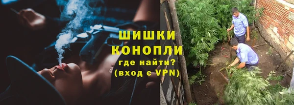 стаф Каменногорск