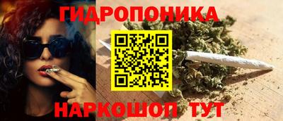 молекула духа Заволжье