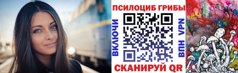 darknet как зайти  Майский  Псилоцибиновые грибы Cubensis 
